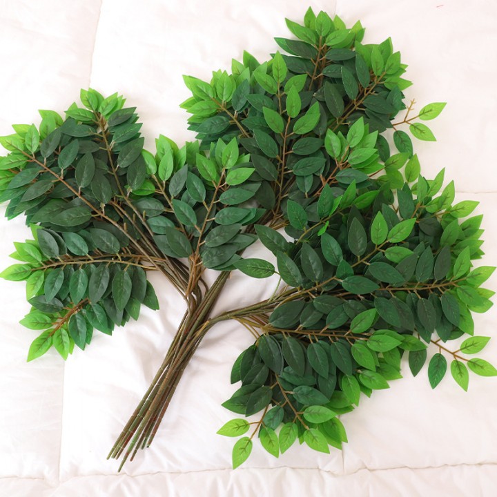 cành lá bồ công anh